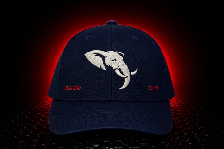 USA 250 13171 Signature Hat