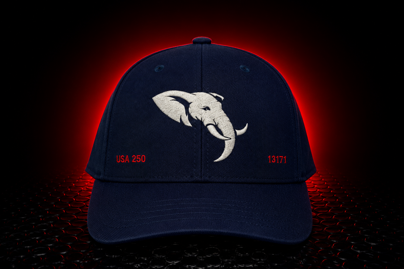 USA 250 13171 Signature Hat